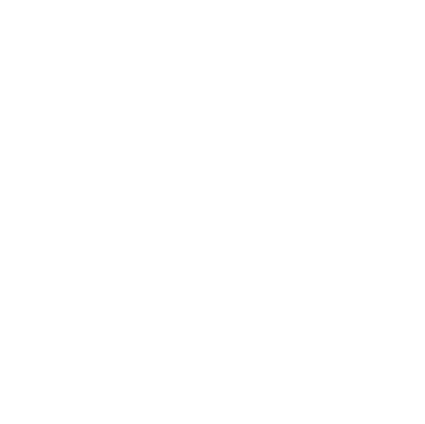 Saleen company logo