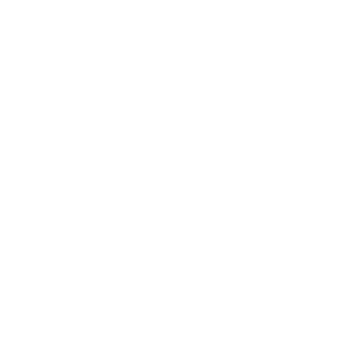 Spyker company logo