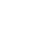 VW company logo